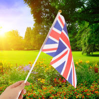 50Pcs Poles Para Banderas De Plástico Para Eventos Deportivos Y Festivales Poles De Bandera Manuales Para Celebraciones Y Publicidad - details 1