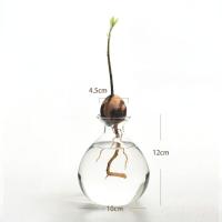 Vaso De Comino Para Cultivo De Semillas Kit De Plantación Con Pegatinas Regalo Para Amantes Del Jardín Material De Vidrio Transparente - details 6