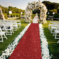Carpetilla De Fiesta Plateada No Tejida Para Bodas Cumpleaños Navidad Agradecimientos Al Aire Libre Accesorios Banquete Pasillo - details 1