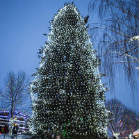 Luz De Red De Malla LED EU Enchufe 220V Guirnalda Para Calle Decoraciones De Navidad Al Aire Libre Boda Fiesta Jardín Bush - details 11