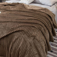 Manta Gris Plush Fluffy Flannel Fleece Suave Para Sofá Y Cama Manta De Terciopelo Poliéster Antipelusa Portátil Para Todas Las Estaciones - details 4