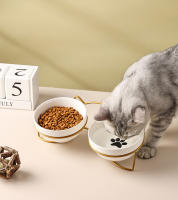 Tazón De Cerámica Para Gatos Y Perros 500ML Con Soporte Elevado Alimentos Y Agua Dispensador Accesorios Para Gatos Tazón Doble De Forma Redonda - details 10