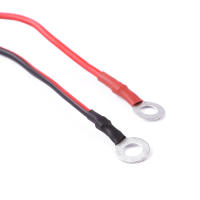 Conector De Enchufe De Coche DC 12V 24V Adaptador De Enchufe De Cigarrillo Para Camiones Y Motocicletas Con Cable Y Fusible De 10A - details 12