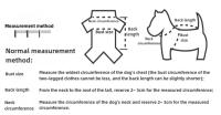 Camiseta De Patoleta Para Perros Pequeños Y Medianos Con Rayas Diseño Lindo Ropa De Mascota Suéter De Algodón Para Todas Las Estaciones - details 0