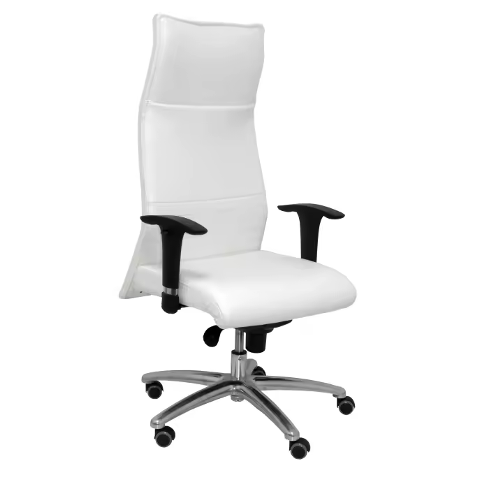 Sillón de Dirección Ergonómico Regulable en Altura Piqueras Y Crespo - 1