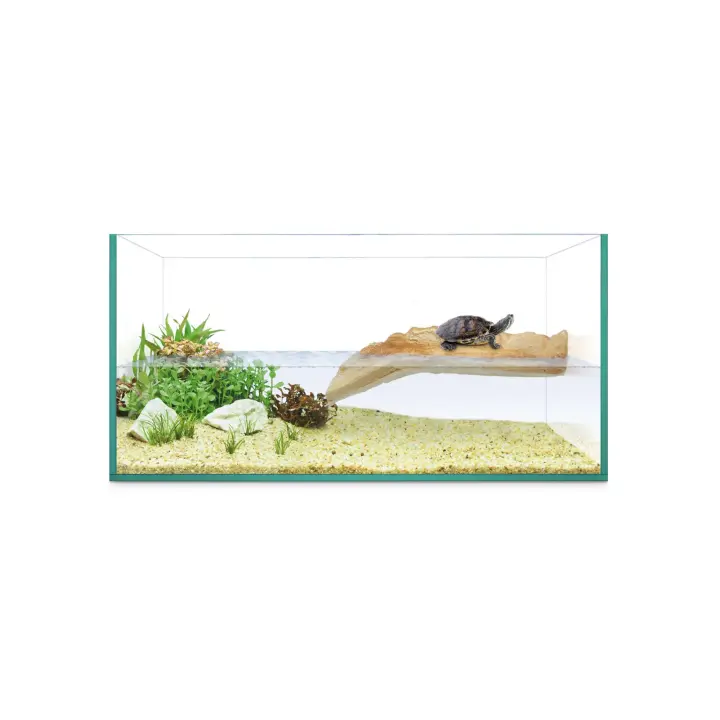 KIT tortuguera ISLA de REPTI SELVA 40 - REPTI-SELVA  transparente Reptiles 19x20x40cm - 1