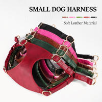Juego De Arnés Y Correa Para Perros De Cuero PU Durable Arnes Suave Para Pequeños Y Medianos Perros Chihuahua Pug Con Guía De Caminar - details 2