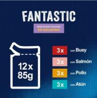 FELIX - Fantastic Gelatina (24x85 gr) - Comida Húmeda Selecciones Favoritas (Pollo, Salmón, Atún y Buey) (2 Cajas de 12x85 gr) - details 0