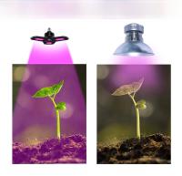 Bulbo De Cultivo Para Plantas 80W LED Espectro Completo Para Suculentas Interior Iluminación Para Invernadero Y Frutas Peso Del Paquete 100000015 - details 8
