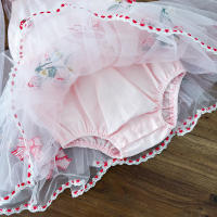 Vestido De Princesa Para Bebé Verano Con Manga Puff Y Gran Lazo Bordado De Fresa Falda Enredadera Para Niñas Ropa De Salir - details 13