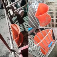 Alfombra De Alimentación Para Cerditos Plástico Montada En La Pared Con Cuatro Compartimentos Dispensador De Alimentos Para Ganado Suministros Agrícolas - details 2