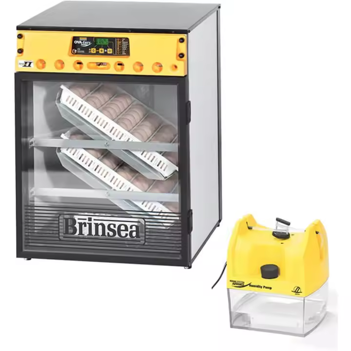 FINCA CASAREJO - Incubadora de Huevos BRINSEA Ova-Easy 100 Advance EX - 72 Huevos de Gallina - Automática - 1