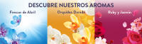 LENOR Perlas Frescor de Abril 735 gr + ARIEL Oxi 10 Lavados - details 2