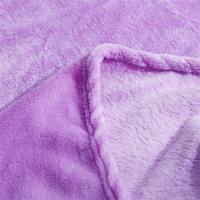 Manta De Felpa Coral Suave Y Cálida Para Invierno 230Gsm Tamaño Variado Lavable Mecánicamente Manta De Silla Y Cama - details 2