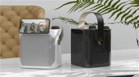 Altavoz Subwoofer de Karaoke con Microfono Doble, Bluetooth, 100W, Cambiador de Voz - details 8