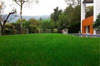 Semillas de Césped Muy Resistente - Caja de 1 KG - Césped muy resistente a pisadas y bajo mantenimiento - Ideal para Jardines y zonas de piscina.  Las semillas de Césped Resistente de Rocalba nos proporcionarán un césped de gran aspecto estético durante t - details 1