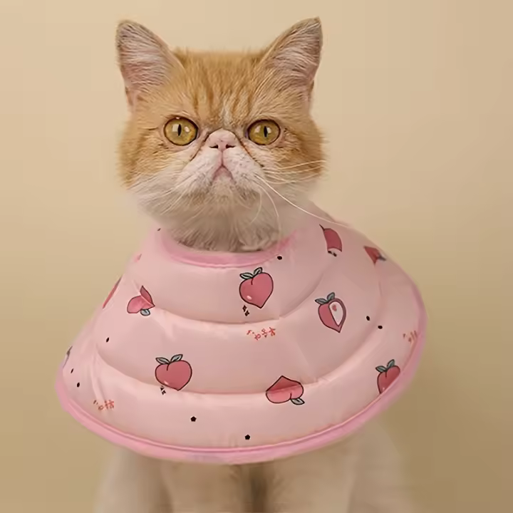 Collar De Esterilización Para Gato Elizabeth Circle Anti-Lamia Gorro Para Cabeza De Gato Pequeño Accesorios Para Mascotas Perros Y Gatos - 1