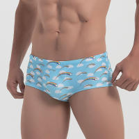 Traje De Baño Para Hombre Bikini Surfeo Shorts Boxer Estilo Tradicional Arco Iris Sexy Ropa Deportiva Para La Playa Y Piscina - details 1