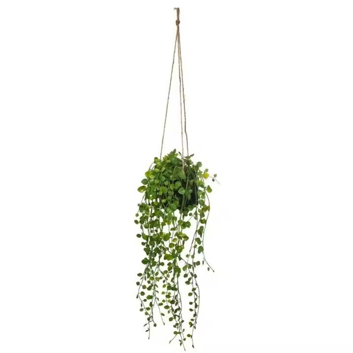 Atmosphera Maceta Colgante Planta Artificial Plástico Resistente - 1