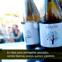 Nuevos Vinos - Pasión de Moscatel Blanco Seco Bodega Sierra Norte Utiel - Requena Vino Vegano PACK 3 BOTELLAS - details 3