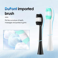 Limpia Dientes Eléctrica Portátil Con 6 Modos De Velocidad Alta Frecuencia De Vibración Eliminador De Tartar Para Blanqueamiento De Dientes - details 6
