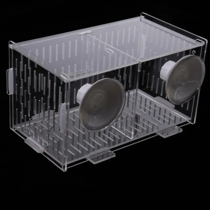 Divisor De Acrílico Blanco Para Cria De Pequeños Peces Y Camarones Accesorio De Caja De Incubación Para Acuario - 1