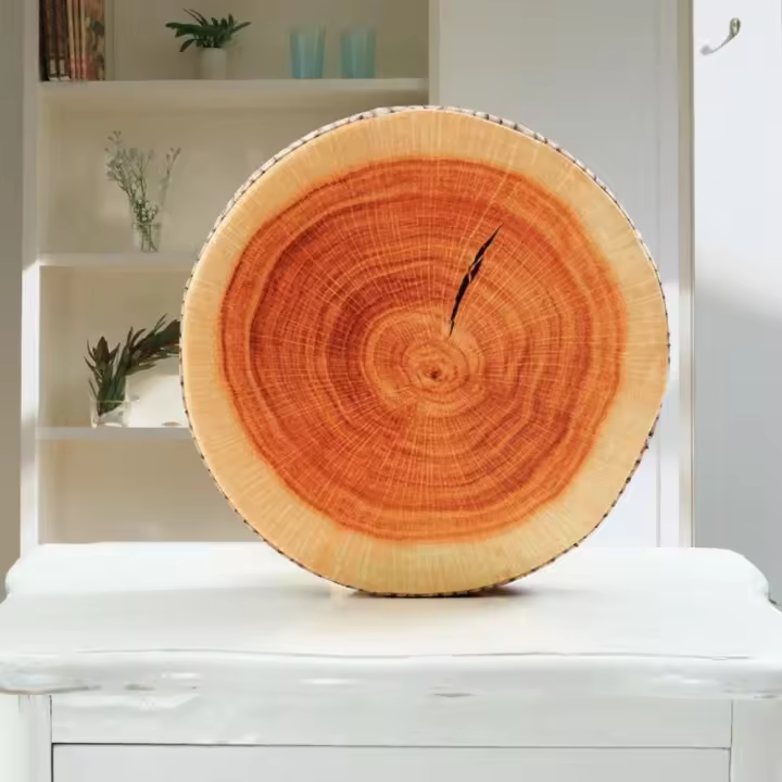 Cojines Redondos Para Sillas Cómodos Almohadillas De Asiento Divertidos Frutas Jardín Comedor Exterior Material Poliéster/Celulosa Relleno PU Espuma Estilo Moderno Lavables - 1