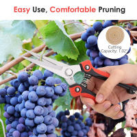 Tijeras De Podar De Acero Inoxidable Para Jardín Y Frutas Con Mango Antideslizante Podador De Rama Para Macetas Y Trimming De Césped - details 1