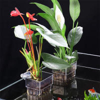 Cesta De Plantación Para Acuario Soporte Hydroponic Colgante Para Maceta De Hierba Acuática Y Flores Pots De Flor En Lámina De Acero Inoxidable Para Tanque De Peces - details 1