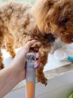 Tijeras De Uñas Para Mascotas Con Luz LED Y Función De Amplificación Herramienta De Aseo Para Perros Y Gatos Material De Acero Inoxidable - details 11