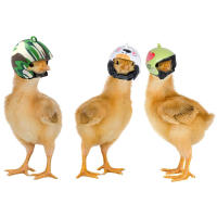 Gorro De Protección Para Pájaros Pequeños Accesorios De Mascotas De Pollo Resguardo Del Sol Y Lluvia Juguetes Para Pájaros De Corral - details 11