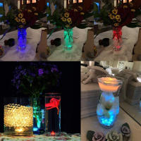 Luz LED Submersible Mini Con Control Remoto Para Eventos Fiesta Vaso Acuario Batería Incluida Luz Nocturna Redonda Para Decoración - details 3