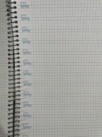 Campus - Cuadernos A4 Cuadrícula Pauta 4x4mm y 3x3mm , Tapa Dura, 80 hojas, Pack de 6 blocs perfectos para uso escolar, aprender a escribir y hogar, Colores Surtidos (6 unidades) - details 2
