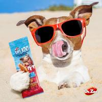 Dr.Zoo Helado para Perros 24 x 50 Gr  Varios sabores Crema, Banana Split o Salchicha y Queso  Sabrosos - details 0