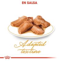 Precio Especial por Caducidad 09/05/2025-Royal Canin Gato Maine Coon Sobre Húmedo 10X85g - details 2