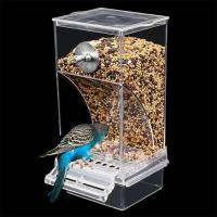 Alimentador Y Bebedor Automático Para Pájaros Acrylic Caja De Alimentos Para Pequeños Y Medianos Pericos Accesorios De Jaula - details 5