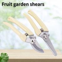 1Pc Tijeras De Podar Profesionales Para Jardín Y Huerto Herramienta Manual Para Bonsái Cortadora De Enredaderas Y Podar - details 0