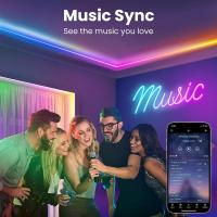 Tiras LED RGB Neon 12V 10M/5M Con WiFi Impermeables Y Sincronización De Música Para Exterior DIY Con Control Remoto Y App Para Dormitorio - details 9