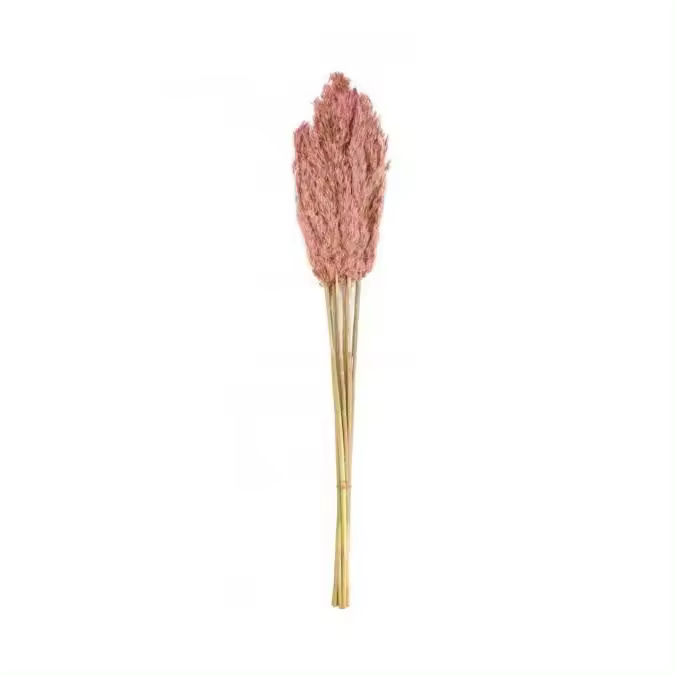 Factory Cuadros Ramo de Pampas Pampa Rosa 75cm - Decoración Estilo Natural - 1