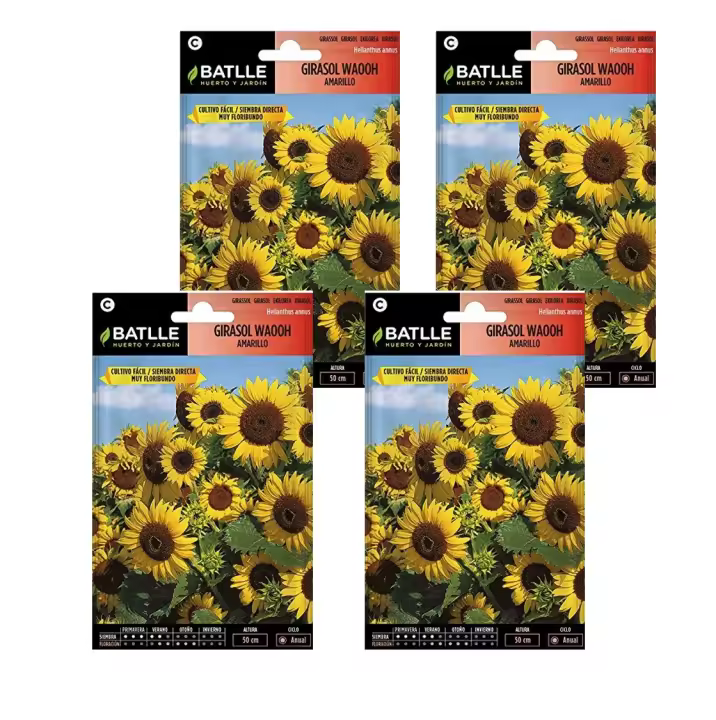 4 Sobres de Semillas de Girasol Waooh amarillo de Semillas Batlle - 1