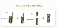Cinta De Reparación De Jardín Parafilm Barriera De Humedad Para Plantas Arbolado De Fruta Y Semillero FATCOOL Pruner Bypass Plástico Recubierto - details 6