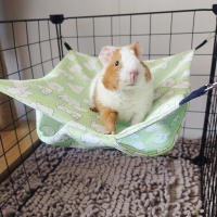 Colchón De Encaje Para Hamsters Y Otros Pequeños Animales Almohadilla De Malla De Rattan Para Chinchillas Nutria Y Erizos Suministros De Mascotas - details 5