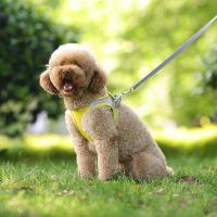 Juego De Correa Y Arnés Ajustable Para Perros Pequeños Vestido De Gato Pupilo Chihuahua Pug Bulldog Francesés Caminar Al Aire Libre - details 7