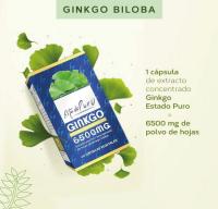 Tongil PACK 2 - GINKGO BILOBA Extracto Estandarizado y Máxima Concentración  24% de Flavonoides y 6% de Terpenos  Memoria y Concentración + Circulación - details 2