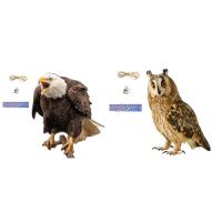 Dispositivo De Repelente De Pájaros Colgante Con Águilas Falsas Decoración De Jardín Y Protección Contra Pájaros Material Plástico - details 1