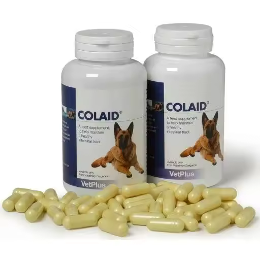Colaid para Perros  Complemento AlimenticioColaid para Perros - 1