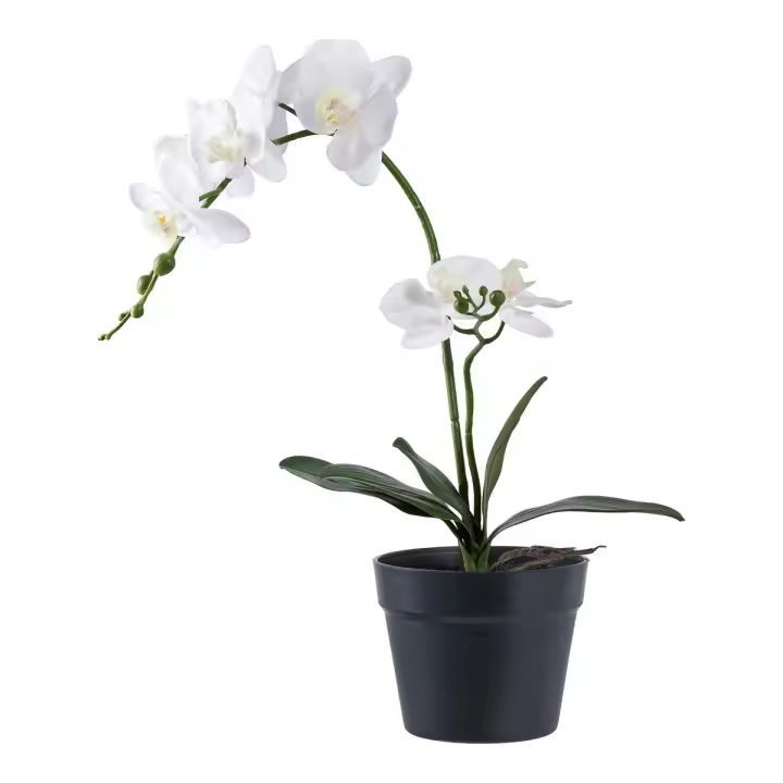 Planta Artificial Orquíea, Plástico PE, Verde, 21x34x47 cm - 1