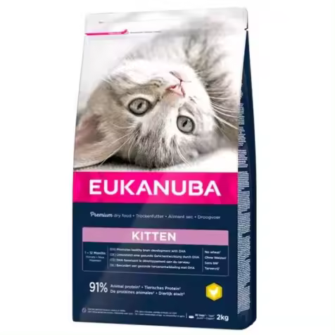 Eukanuba Kitten Para Gatitos 2 Kg - 1