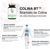 Bitartrato de Colina Activa 250 mg【sin Gluten/OGM/Aditivos】60 Cáps Veganas, Nootrópico 100% Natural | Función Cerebral, Metabolismo y Salud Hepática, Precursor de la Acetilcolina (Colina BT | BestMe Lab) - details 1