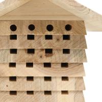 vidaXL Hotel para abejas de madera maciza de abeto 22x20x20 cm - details 5